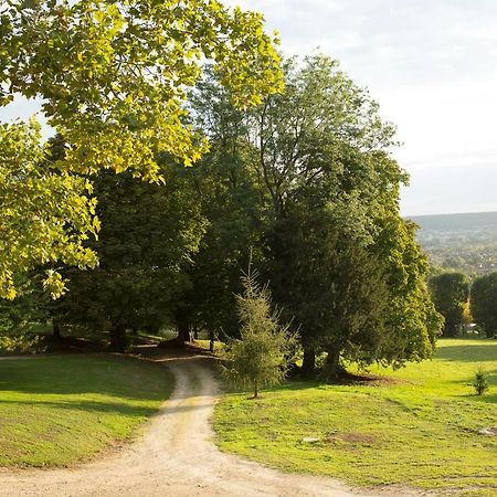 La Clairière de la reine Hortense - Pierres d'Histoire Saint-Prix  Esterno foto